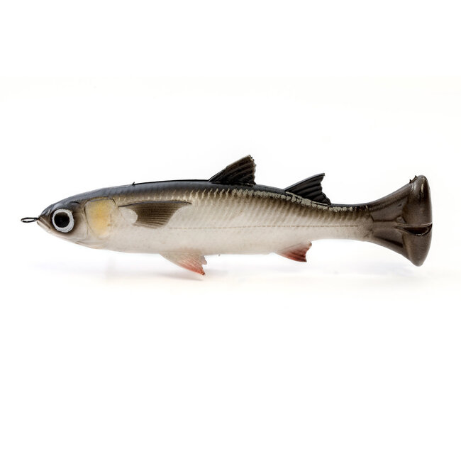 Savage Gear PULSE TAIL MULLET LB 4"