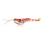 Savage Gear 3D MANIC SHRIMP 4"