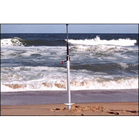 50" SAND SPIKE