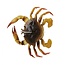 Savage Gear DURATECH CRAB 1.5"