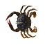 Savage Gear DURATECH CRAB 1.5"