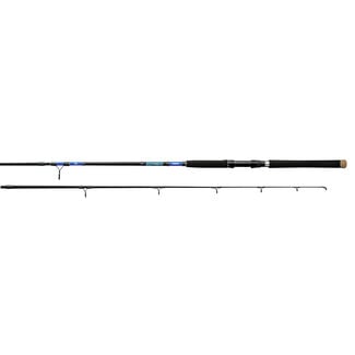 Daiwa BEEFSTICK SURF RODS