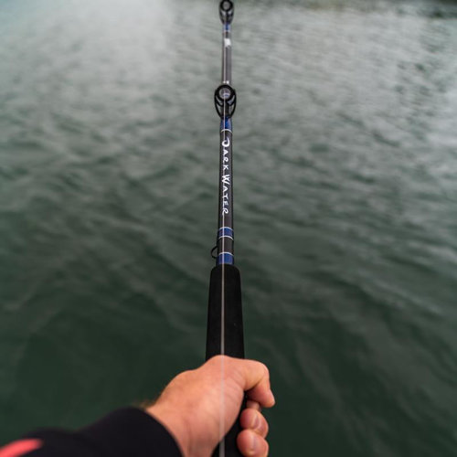 Daiwa Darkwater Conventional Rod