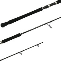 Terez Spinning Rod
