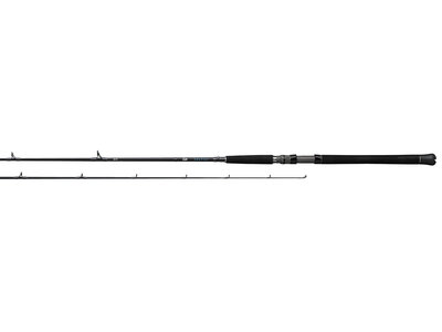 Daiwa Saltist Inshore Spinning SIN