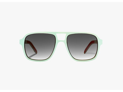 Bajio 12 South Sunglasses POLY