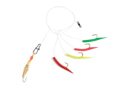 Clarkspoon Mackerel Tree