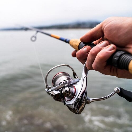 Daiwa TD Sol Inshore TDSOL Daiwa TD Sol Inshore TDSOL