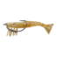 Egret Baits Vudu Weedless Shrimp 3.5" / 2pk