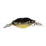 Johnny's Driftin Crab