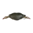 Johnny's Driftin Crab