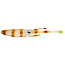 Nomad JERKSQUID 4" JERKSHAD - 5 PACK