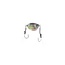 Angler Co PINFISH IMPOSTER JIG