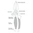 Toadfish Crab Claw Cutter