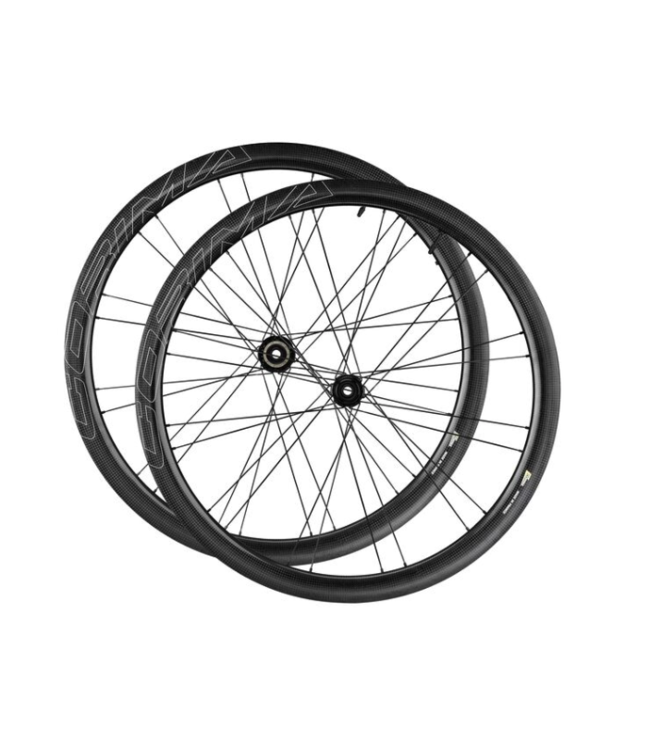 PAIRE ESSENTIA HOOKLESS TLR