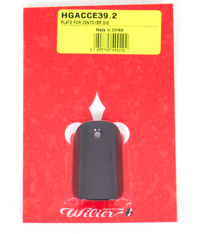 PLATE FOR CENTO 1SR DI2