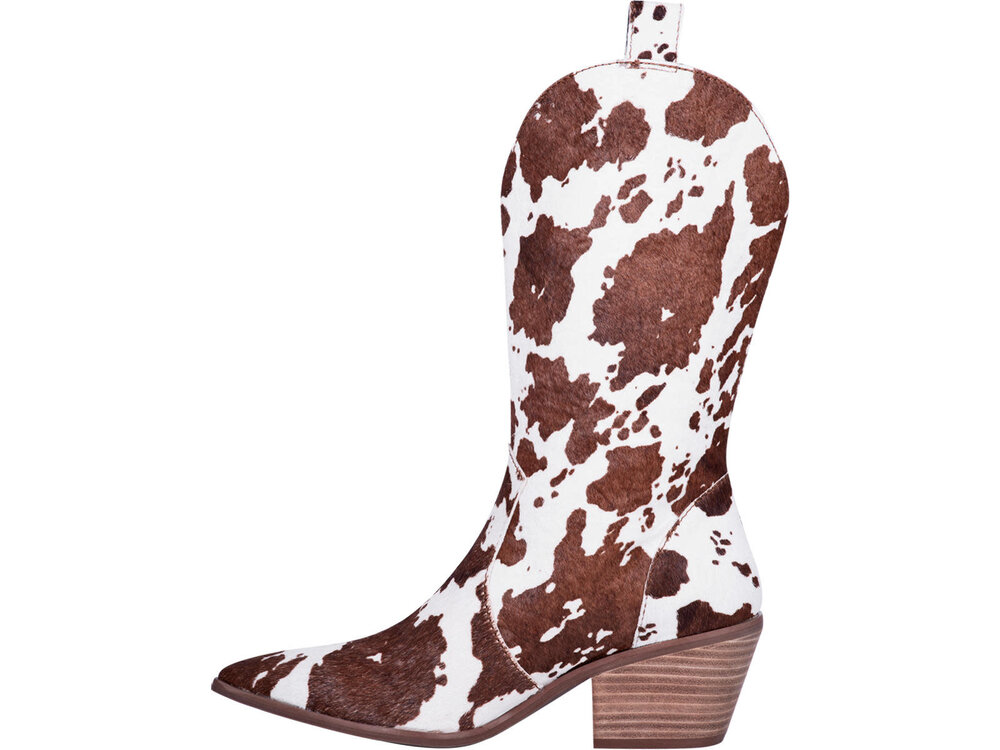 Dingo Live a Little- Dingo-DI127