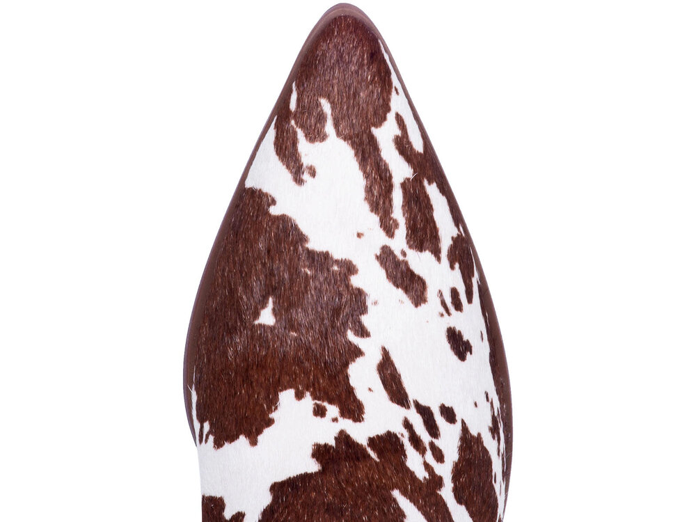 Dingo Live a Little- Dingo-DI127