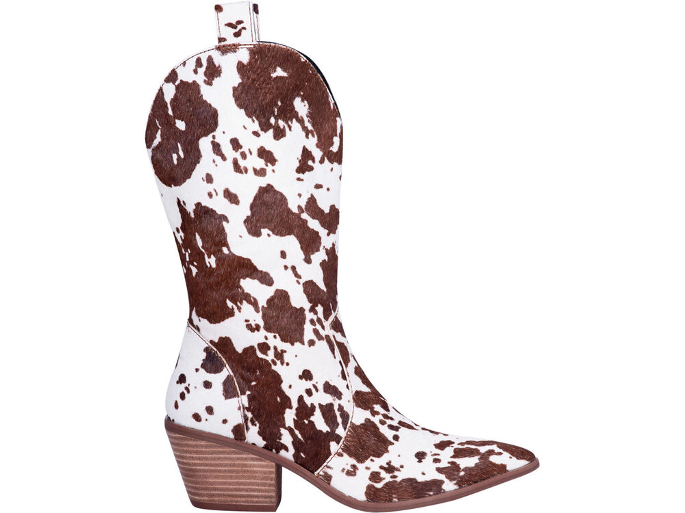 Dingo Live a Little- Dingo-DI127