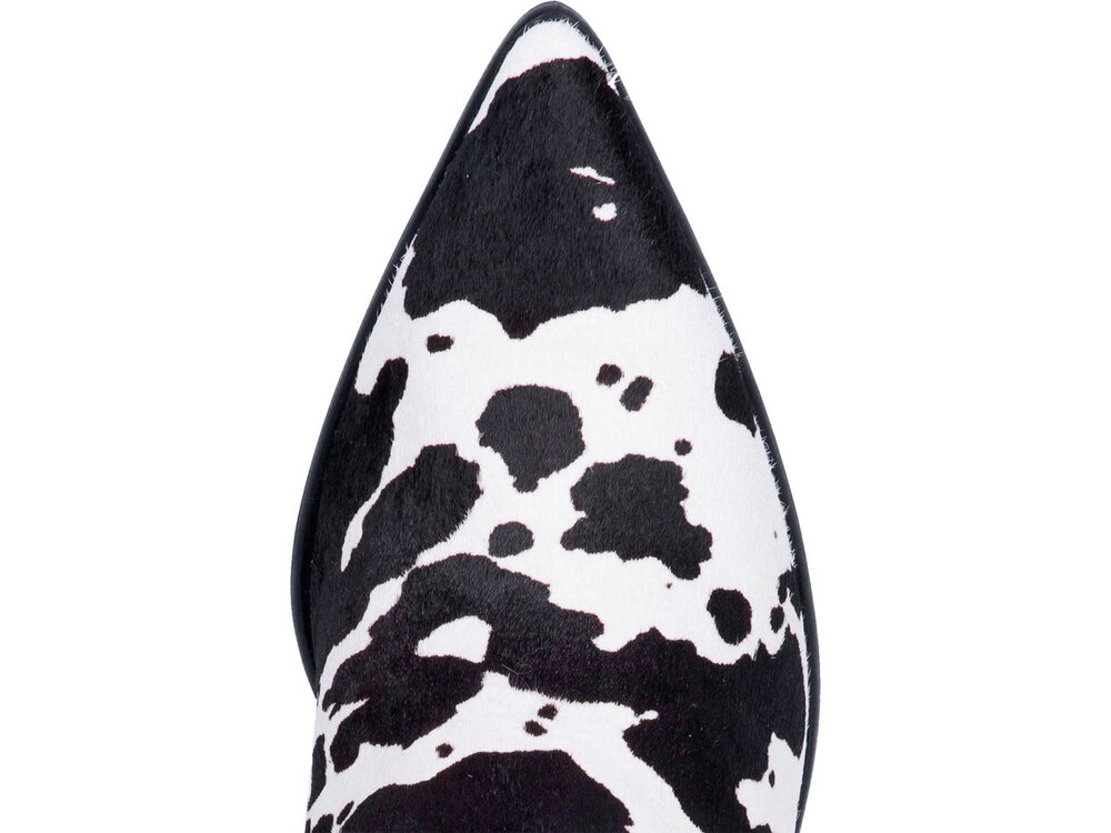 Dingo Live a Little- Dingo-DI127