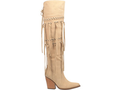 Dingo Witchy Women-Dingo