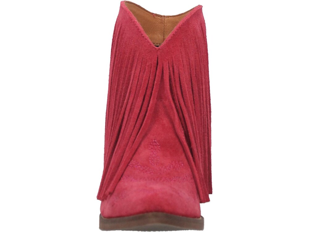 Dingo Tangles Bootie