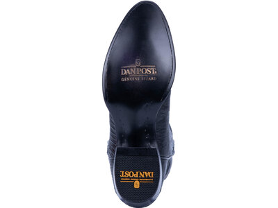 Dan Post Boots Winston