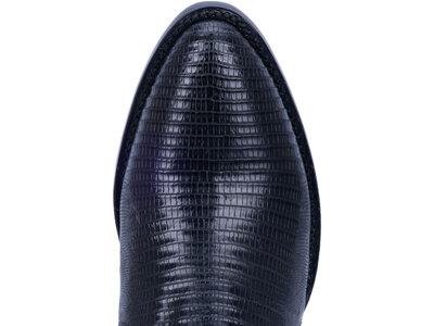 Dan Post Boots Winston