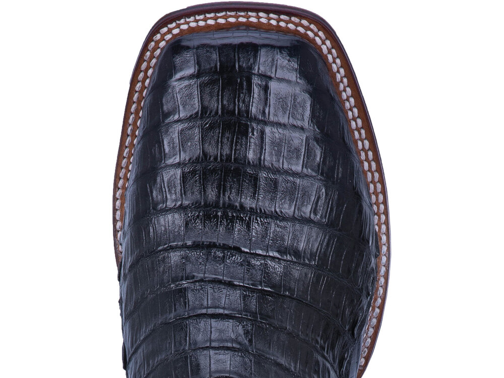 Dan Post Boots Kingsly