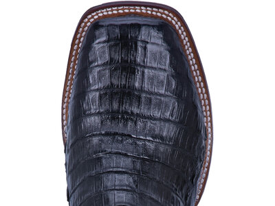 Dan Post Boots Kingsly