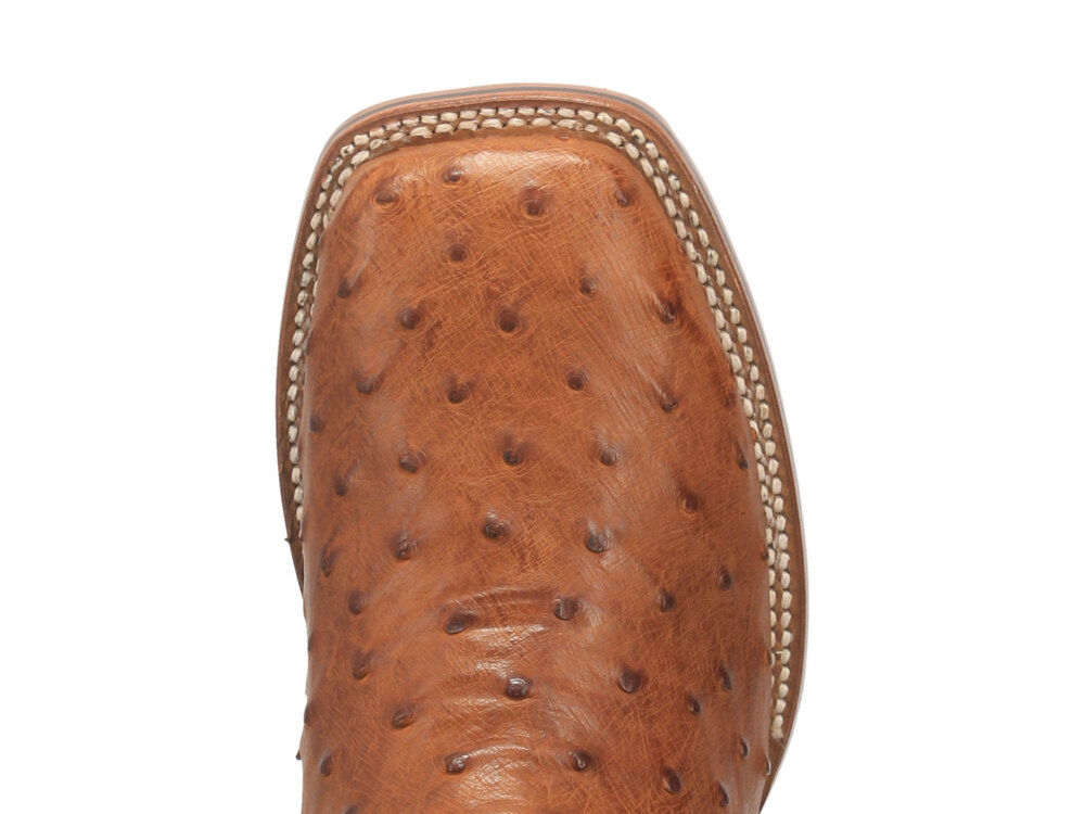 Dan Post Boots Alamosa