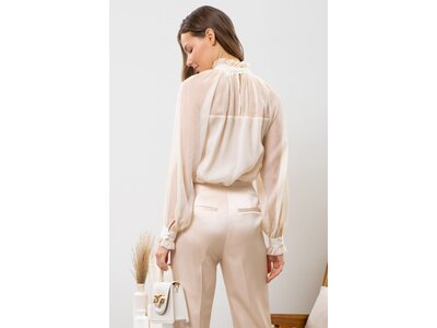 blu pepper Sheer High Neck Blouse