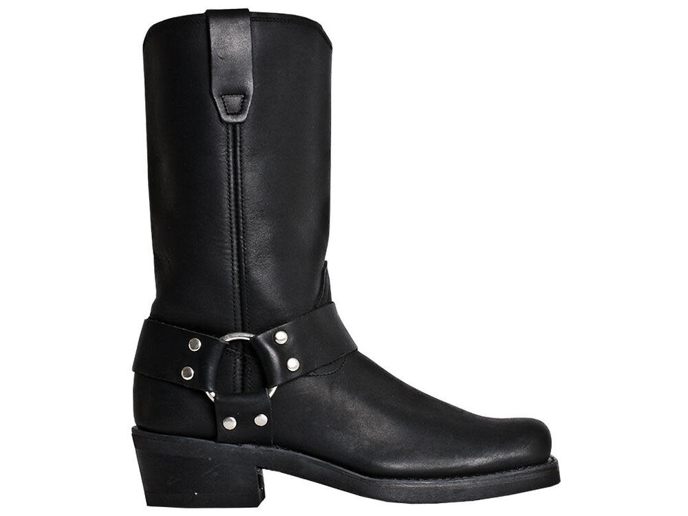 Dingo Molly  - DI07370