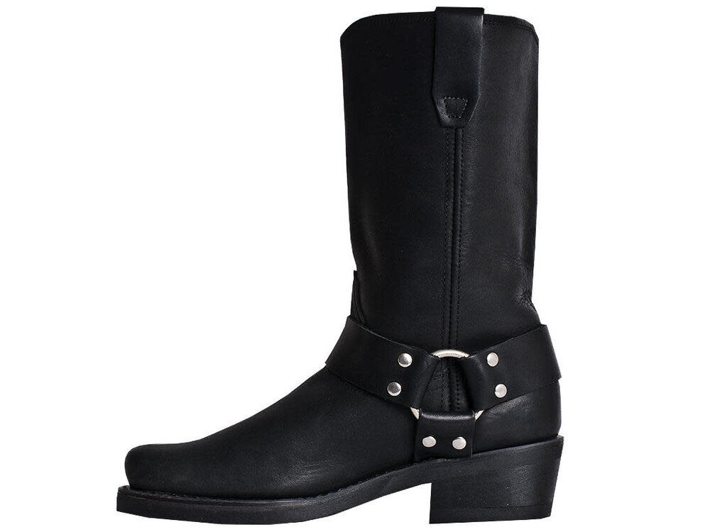 Dingo Molly  - DI07370