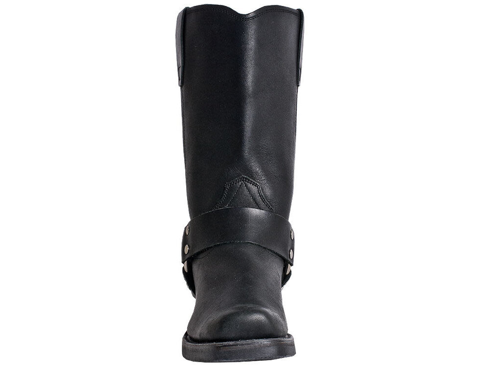 Dingo Molly  - DI07370