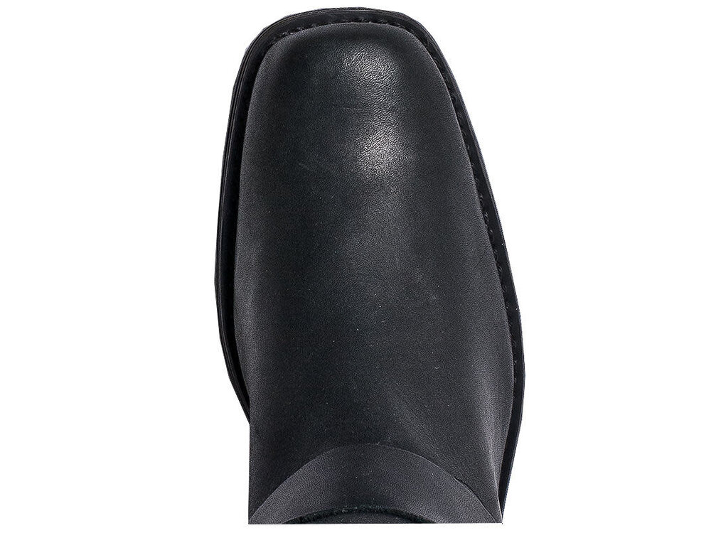 Dingo Molly  - DI07370