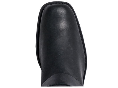 Dingo Molly  - DI07370