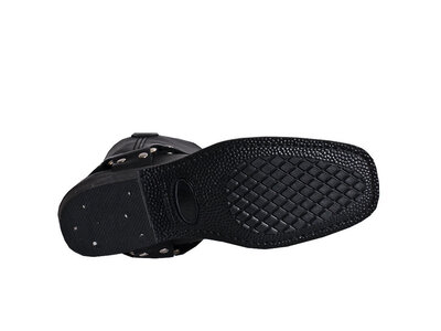 Dingo Molly  - DI07370