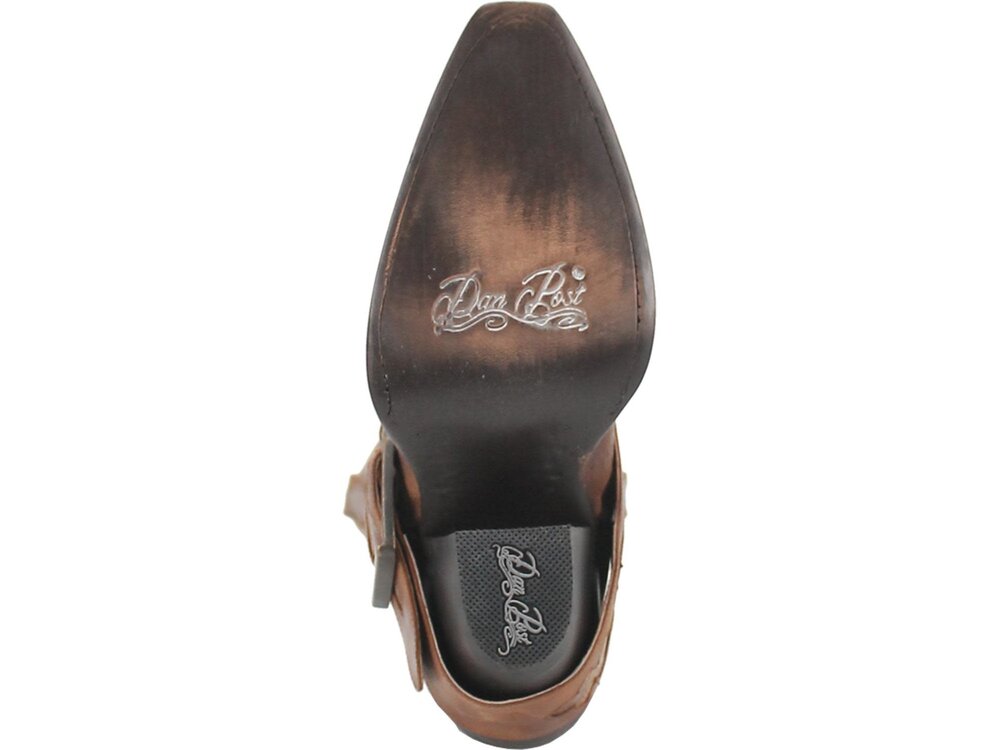 Dan Post Boots Sydney - Brown - DP4205