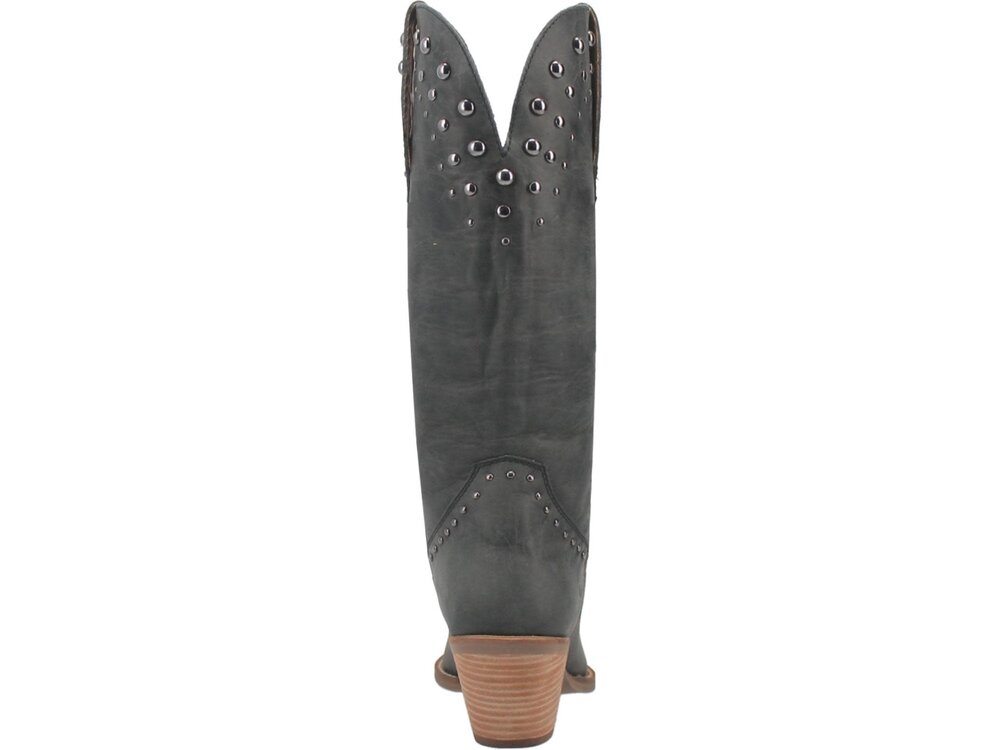 Dingo Talkin' Rodeo - DI585 -Black
