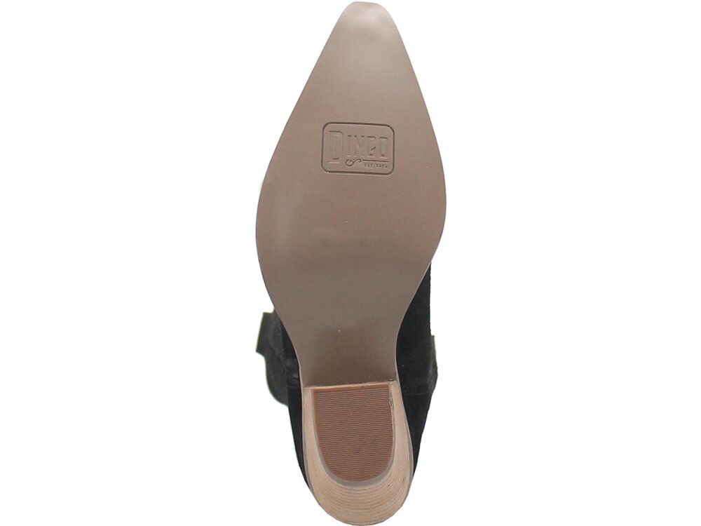 Dingo Thunder Road- DI 597- Black