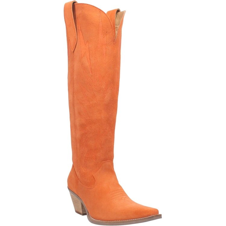 Dingo Thunder Road - DI597- Orange