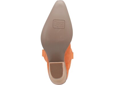 Dingo Thunder Road - DI597- Orange