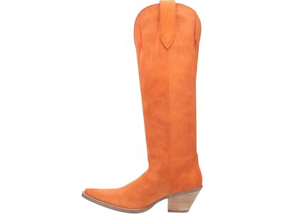 Dingo Thunder Road - DI597- Orange