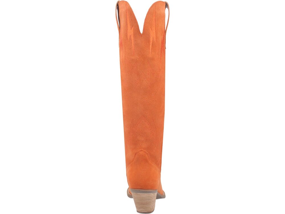 Dingo Thunder Road - DI597- Orange