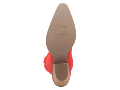 Dingo Thunder Road - DI597- Red