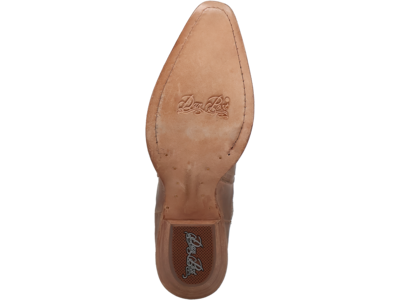 Dan Post Boots Bristol - DP5122- Brown