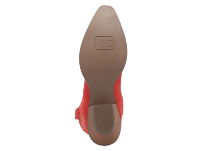 Dingo Hot Sauce- DI 196-  Red