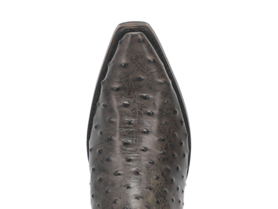 Dingo Outlaw - DI 115 - Black