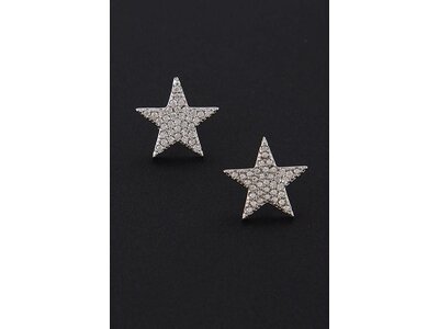 Star Stud Earring- PE1497